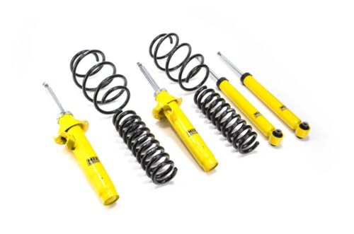 Kit Assetto Sportivo MTS con Molle Eibach Pro-Kit - MTSPROAU012