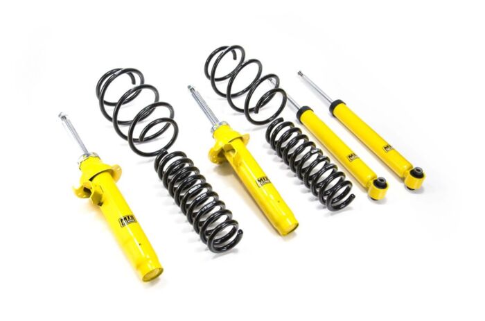 Kit Assetto Sportivo MTS con Molle Eibach Pro-Kit - MTSPROAU012