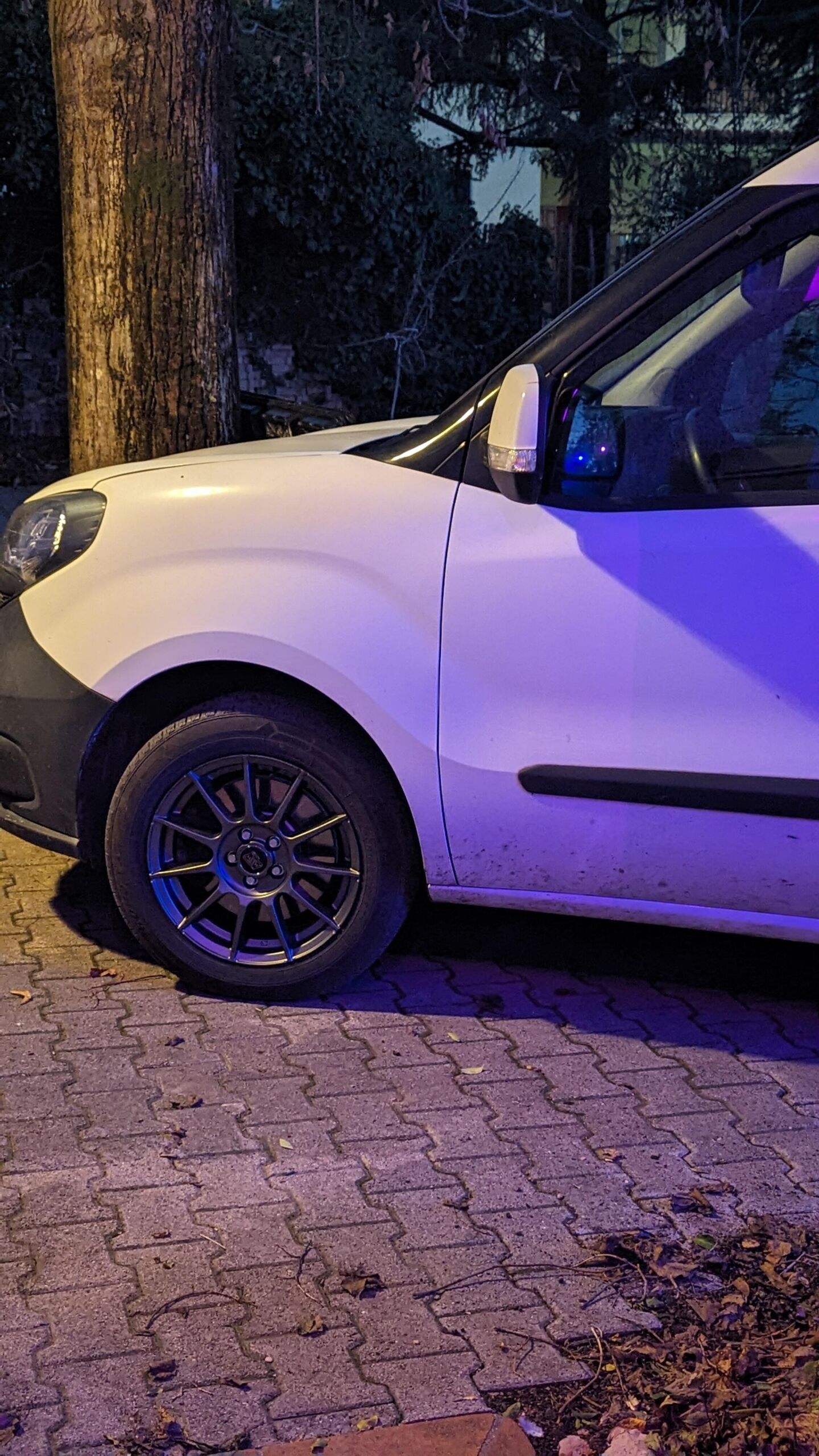 Immagine #1 da fabio tonelli